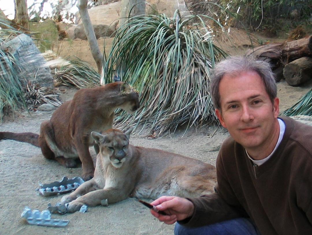 mountain lions sculpting at living desert palm springs