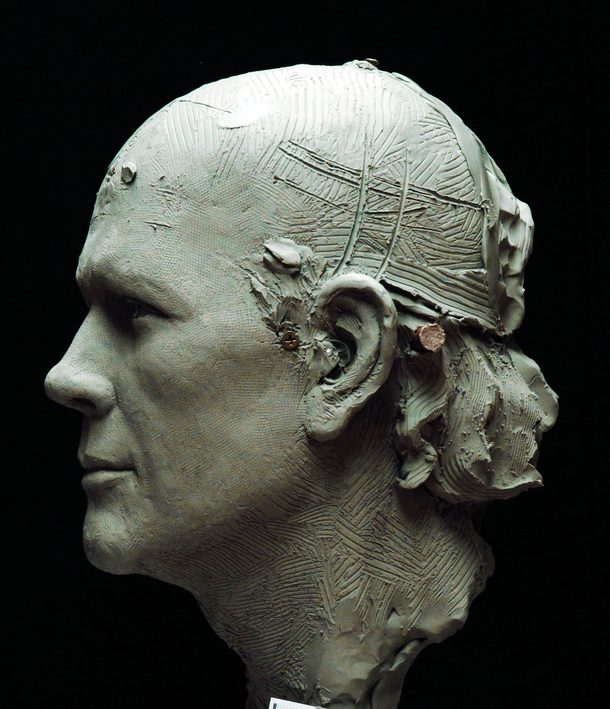 Ron Howard Bust profile view in progress in clay by San Diego Sculptor Richard Becker